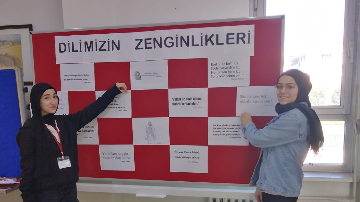 Dilimizin Zenginlikleri Projesi ‘’Beyitlerle Barışıyoruz‘’ Etkinliğimizi Gerçekleştirdik.